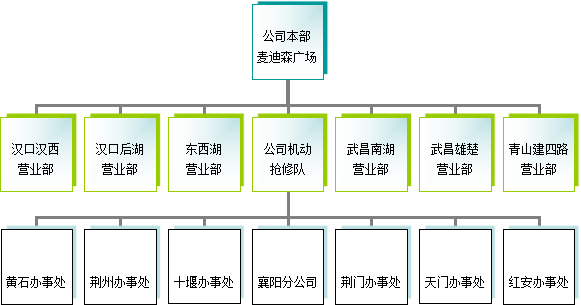 組織架構(gòu)